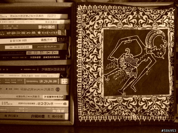 N900內建相機也能玩風格攝影