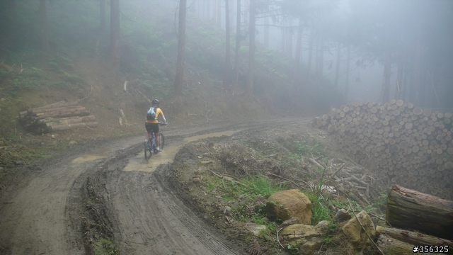 [遊記] 跳動和速度的迷戀, 羅山林道北線單車行