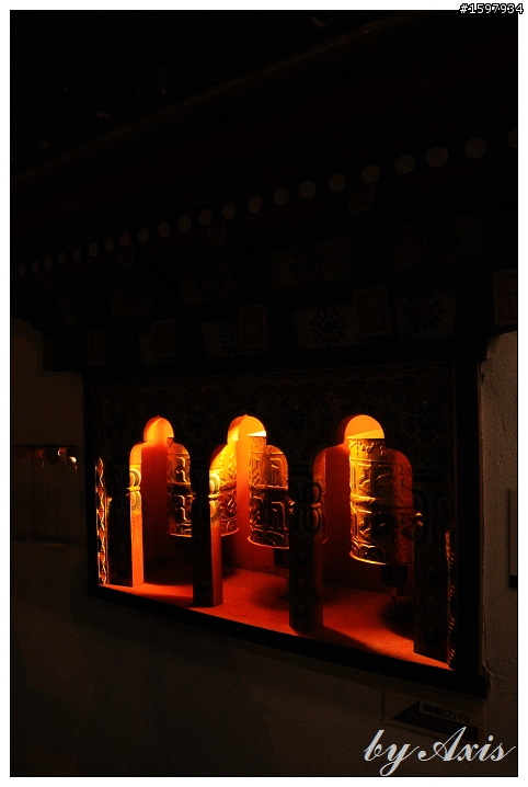 夜晚花博