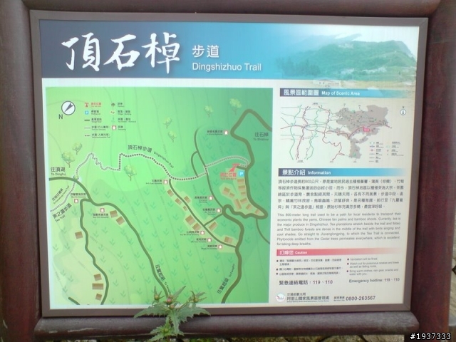 阿里山石棹MTB祕徑