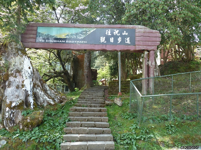 2011_愚人節阿里山賞櫻趣！（雪花片片影片已上傳）