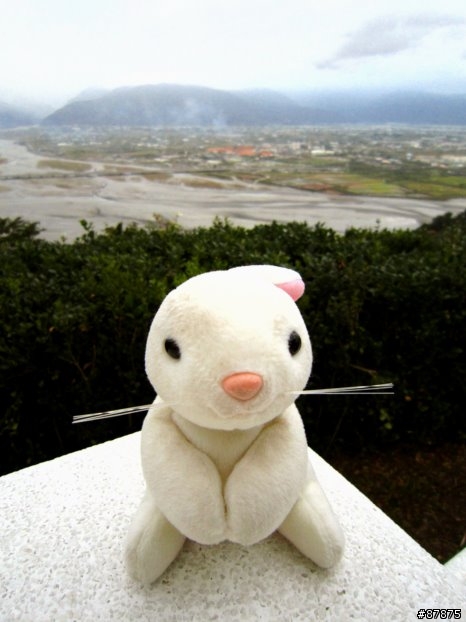 兔 . 環島