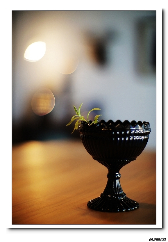 【分享】混搭風格工作室