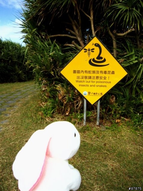 兔 . 環島