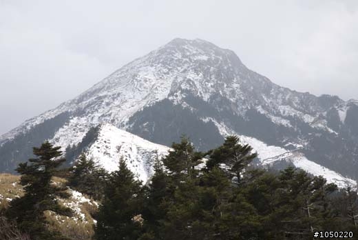 8天7夜山海線環島之旅