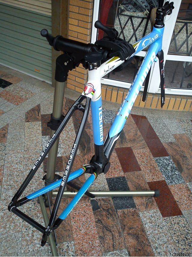[分享]澳洲 TESCHNER DIVA 女性公路車