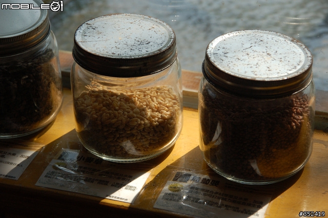 人生的豆芽菜-百壽芽菜農場