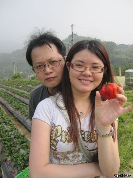 2010-04-10 大湖採草莓