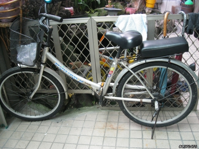 [分享] 難搞的單速淑女車之後輪處理