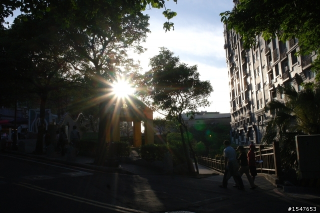NX100 +20MM 遊鶯歌