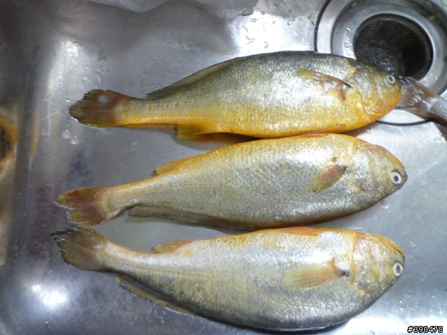 傳統市場買魚戰績