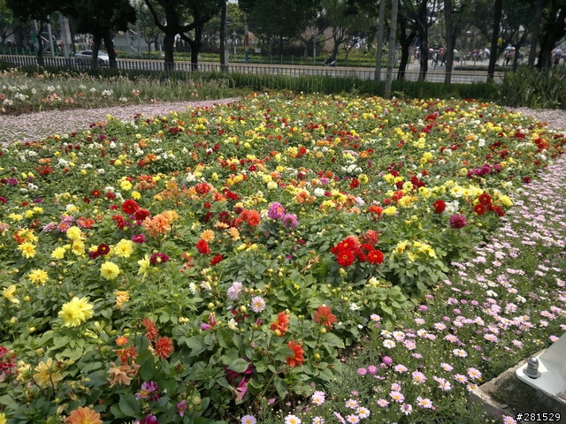 N8再次遊花博~