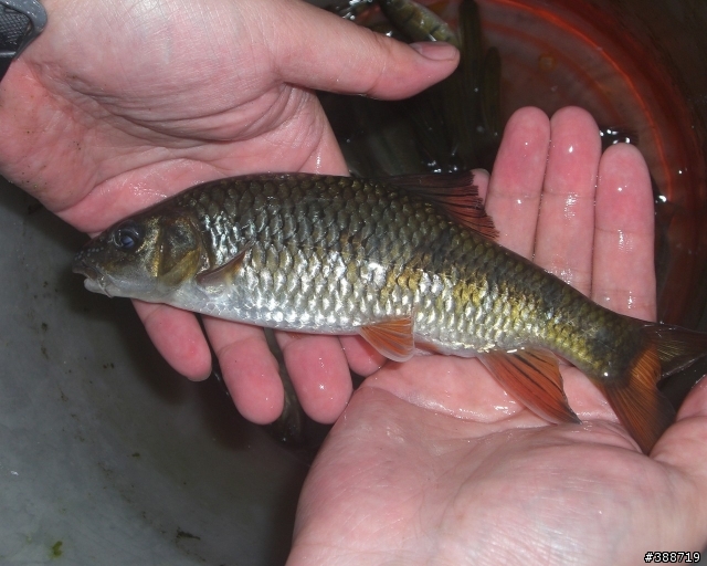 小山溝釣遊