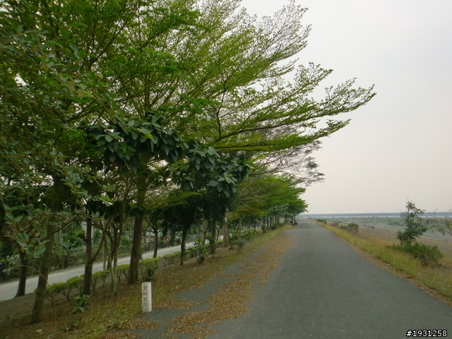 週休二日-每週一遊:阿里山