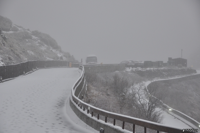 小銀出遊季Vol.1首次長途旅行遇見好朋友雪中行駛愛上小昆蟲篇