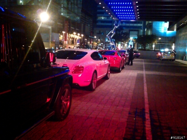 在W HOTEL看到的兩匹紅馬