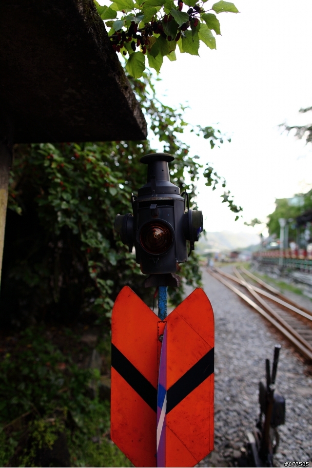 canon EF 24mm F1.4L II 開箱 + 不毒照