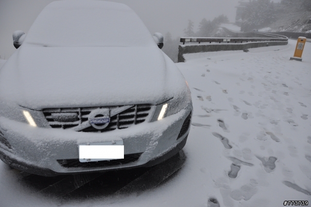 小銀出遊季Vol.1首次長途旅行遇見好朋友雪中行駛愛上小昆蟲篇