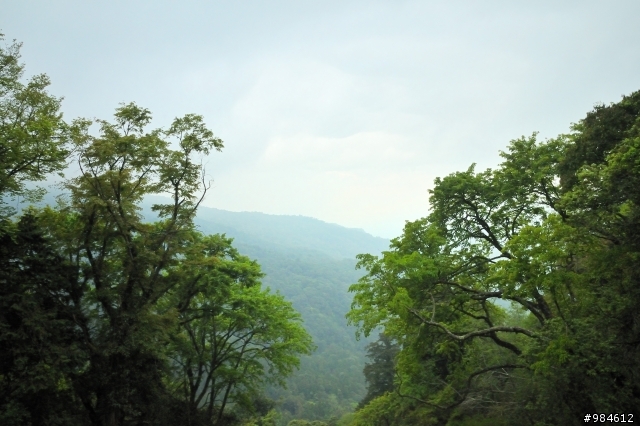 勤能補拙之再接再厲篇(台18與21連線春騎之阿里山 經塔塔加 到水里)