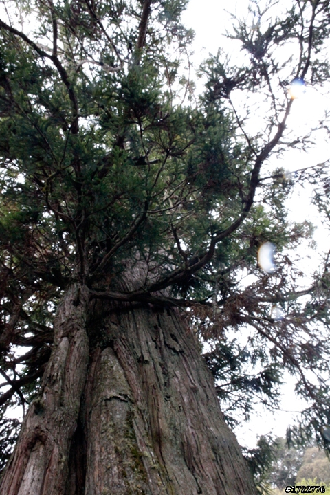 履行。旅行-New Mazda2橫跨中橫公路