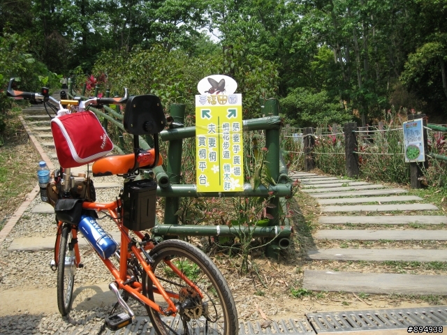 彰化福田桐花生態園區~~~~賞桐花