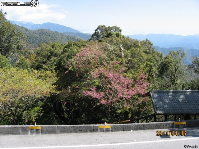 瘋狂台中行（4/6～4/7），花蓮（壽豐豐田）-台中（大里）