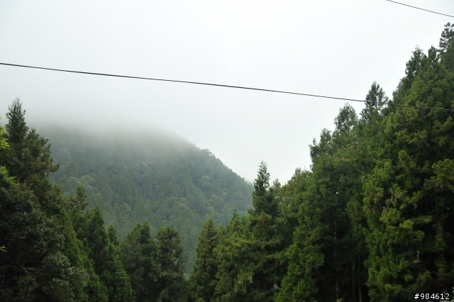 勤能補拙之再接再厲篇(台18與21連線春騎之阿里山 經塔塔加 到水里)