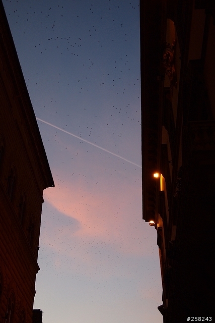 【西西分享】義大利DAY5---佛羅倫斯Florence