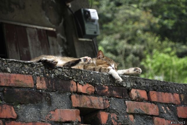 請大家不客氣的給予指導吧!!