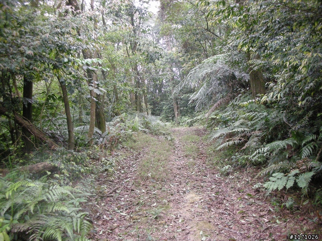 補遺---十三分山產道與李山神宮
