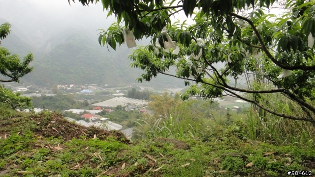 勤能補拙之再接再厲篇(台18與21連線春騎之阿里山 經塔塔加 到水里)