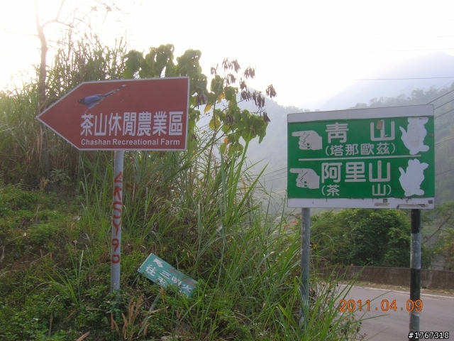 浴火重生吧!!~~~~那瑪夏