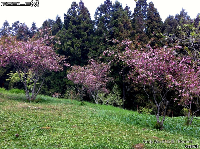 [04.09~04.10]安董之超級瘋狂阿里山遊記!!!