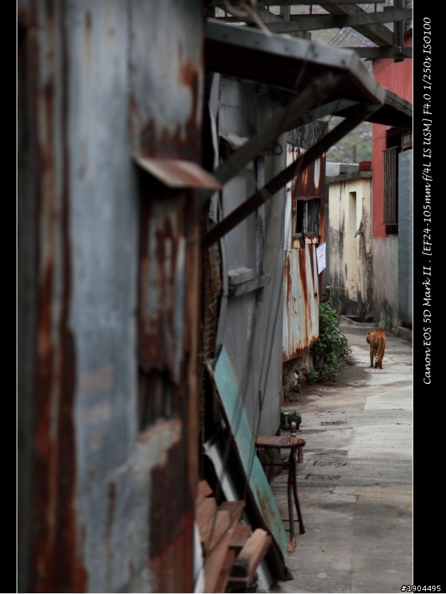 新手試拍 ^^ 5D mark II +24-105 F4