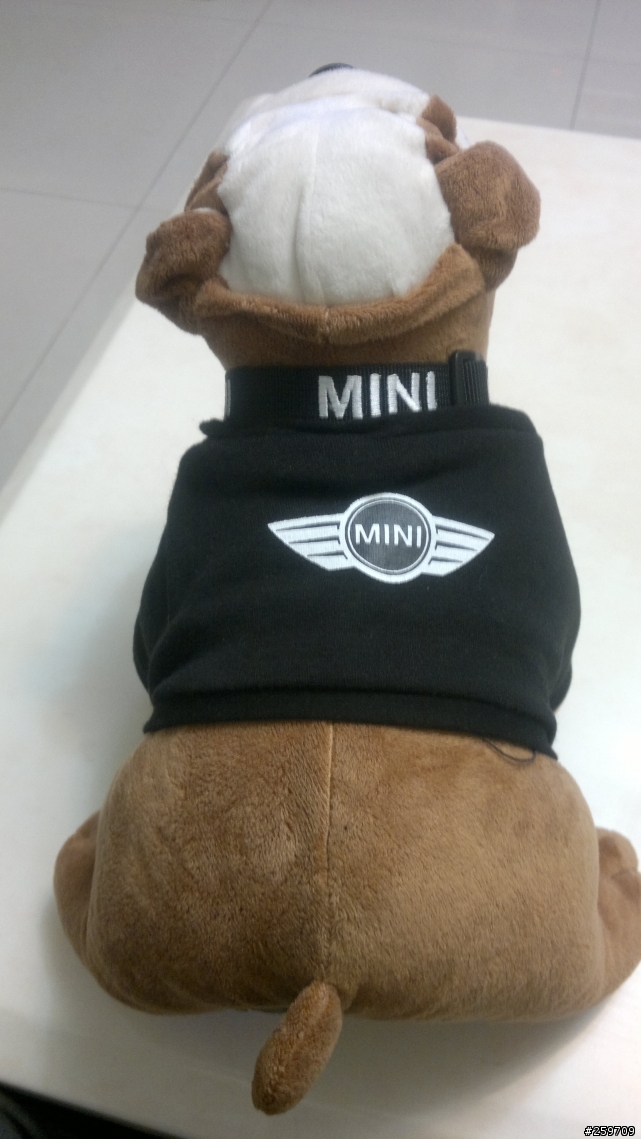 MINI英國鬥牛犬   開箱