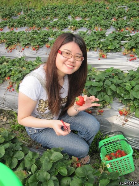 2010-04-10 大湖採草莓