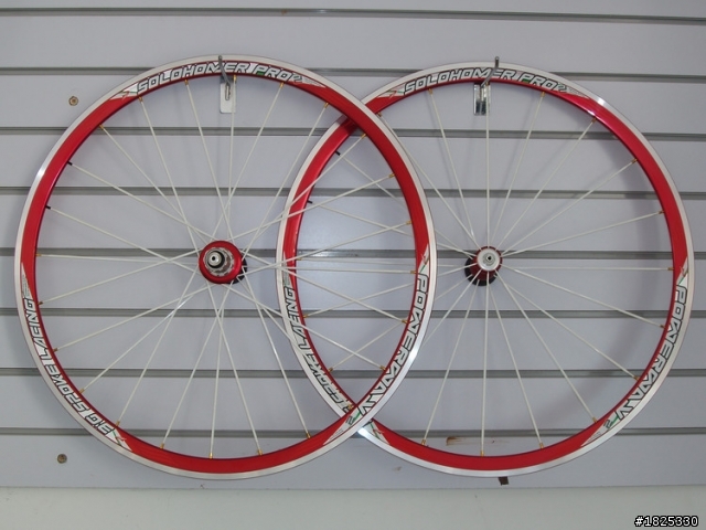 請教powerway輪組Solohomer(PRO)