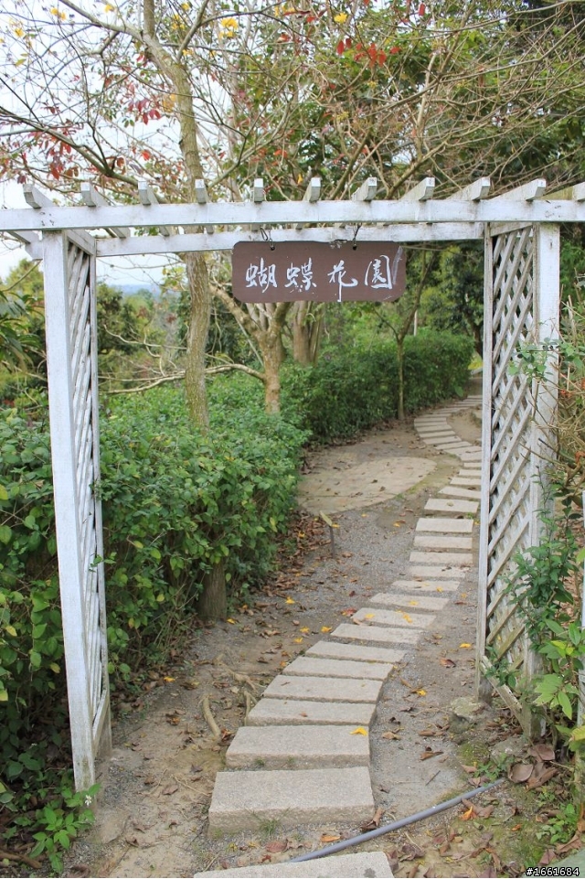 一時衝動之綠盈牧場
