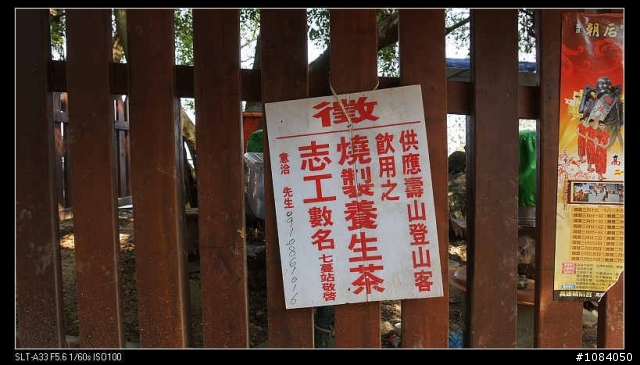 總算見識高雄柴山的猴群