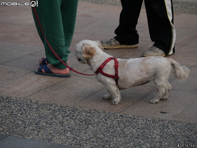 Panasonic Lumix G 45-200mm F4.0-5.6  開箱文