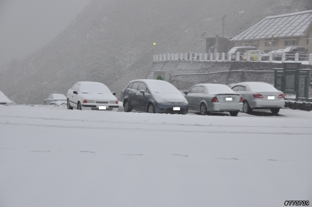 小銀出遊季Vol.1首次長途旅行遇見好朋友雪中行駛愛上小昆蟲篇