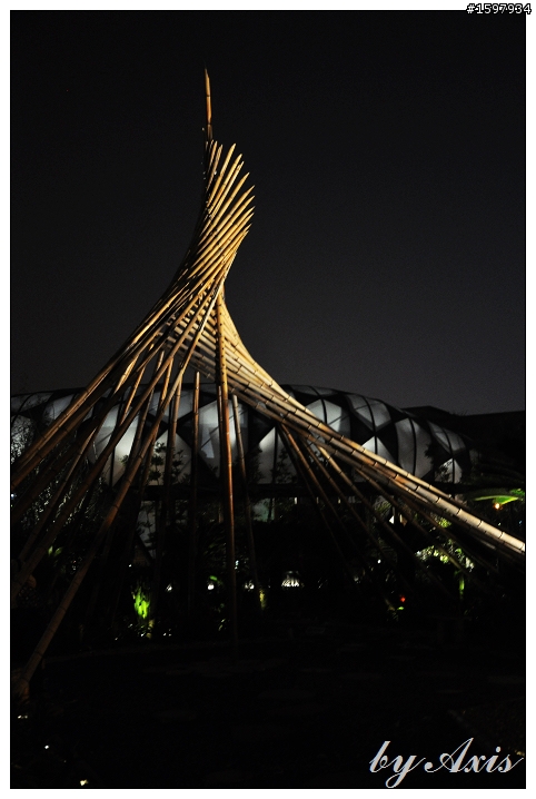 夜晚花博