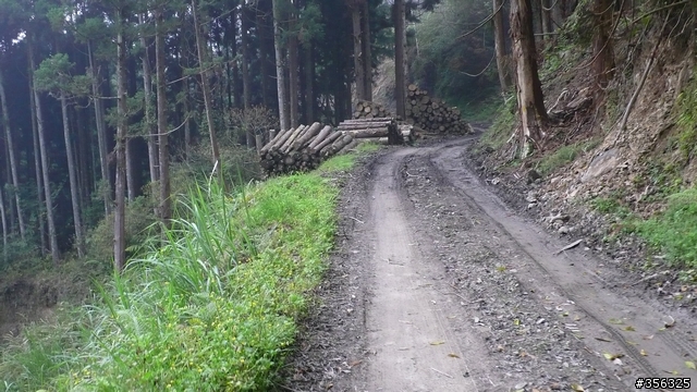 [遊記] 跳動和速度的迷戀, 羅山林道北線單車行