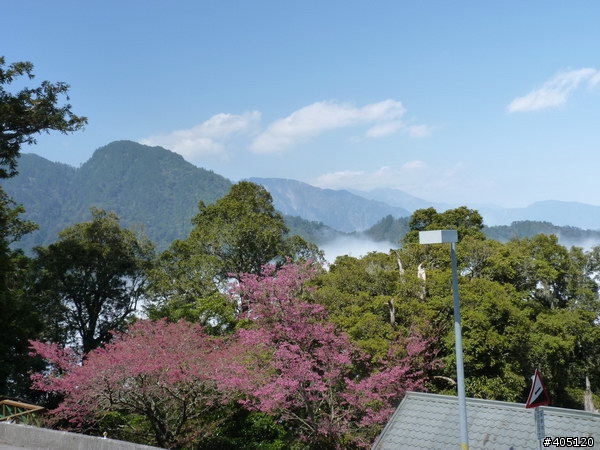 3/22~3/28 深藍柴佛跨中橫環島記 [圖多]