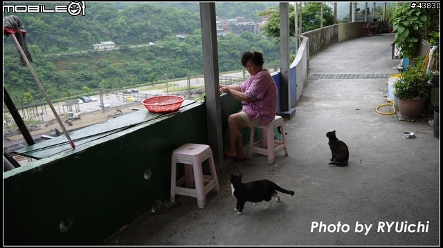 侯硐(猴硐)貓村初體驗...貓多~所以圖爆多!!