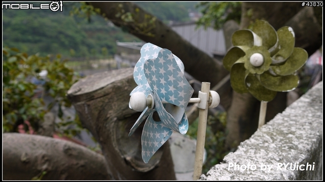 侯硐(猴硐)貓村初體驗...貓多~所以圖爆多!!