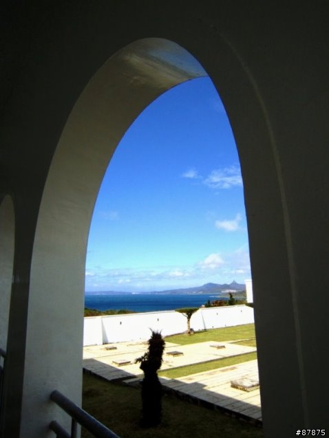 兔 . 環島