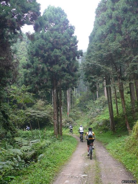 [遊記] 跳動和速度的迷戀, 羅山林道北線單車行