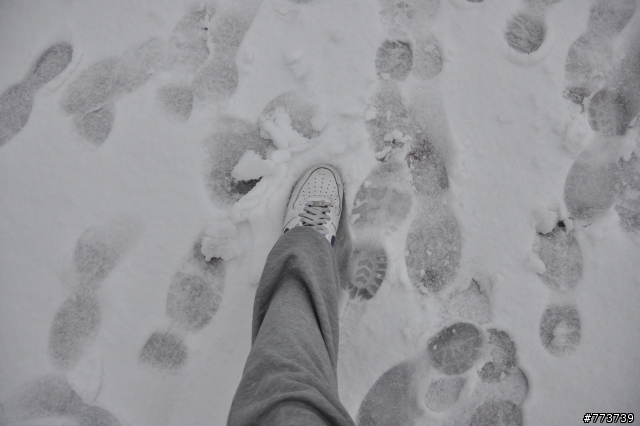 小銀出遊季Vol.1首次長途旅行遇見好朋友雪中行駛愛上小昆蟲篇