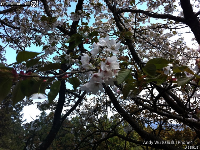 [04.09~04.10]安董之超級瘋狂阿里山遊記!!!